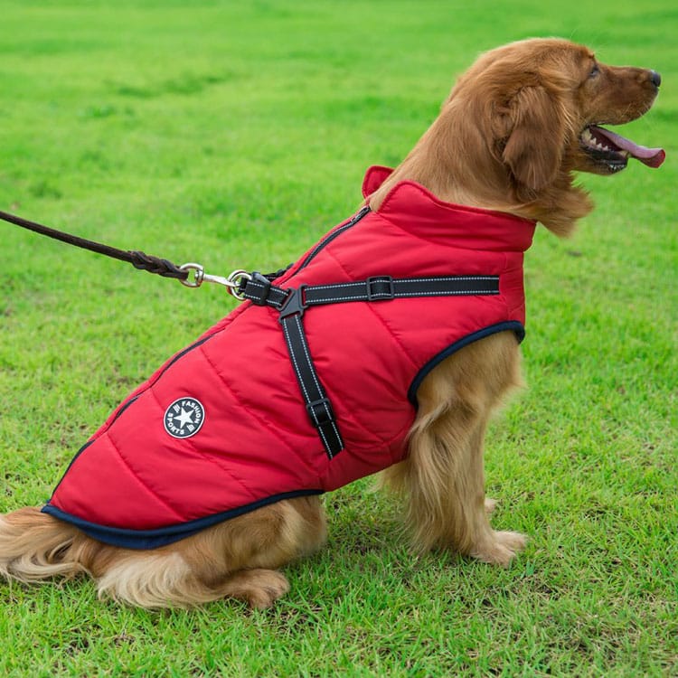 WarmPup™ - Waterproof Winter Jacket with Built-in Harness