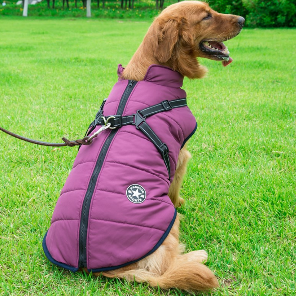 WarmPup™ - Waterproof Winter Jacket with Built-in Harness
