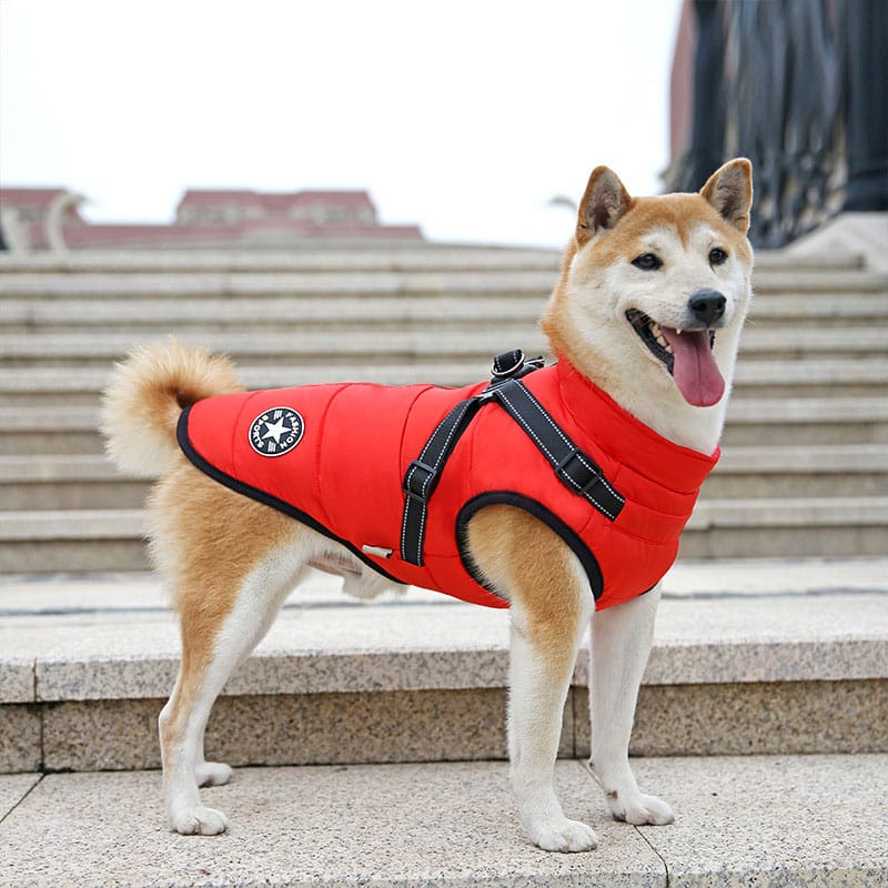 WarmPup™ - Waterproof Winter Jacket with Built-in Harness