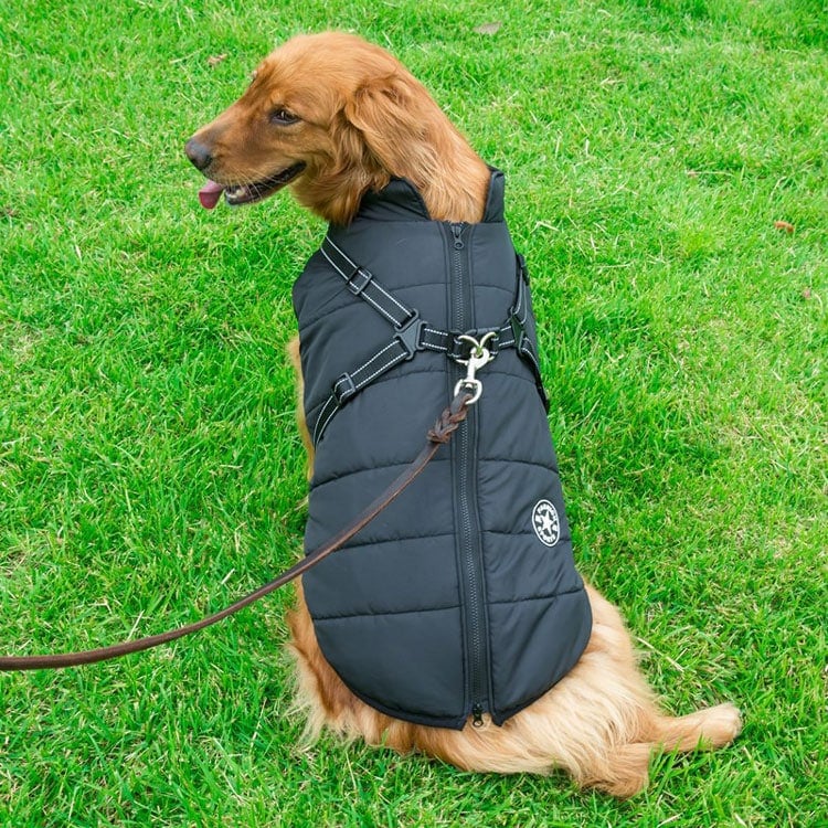 WarmPup™ - Waterproof Winter Jacket with Built-in Harness