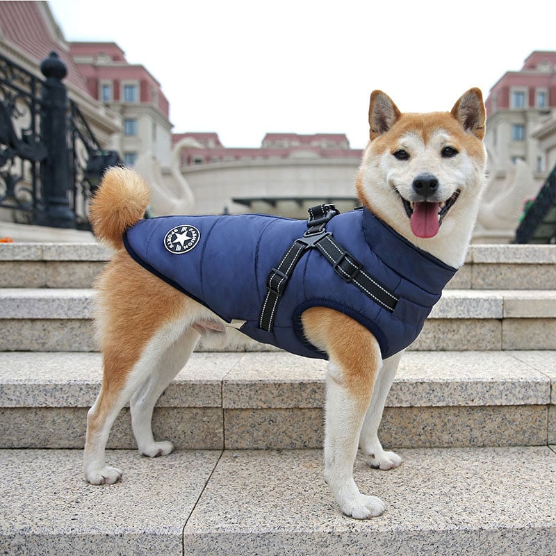 WarmPup™ - Waterproof Winter Jacket with Built-in Harness